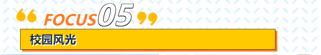 899.png