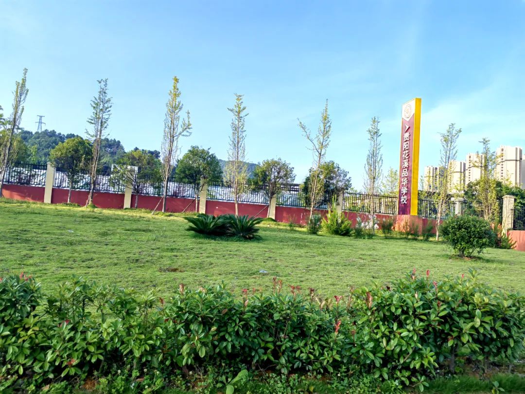 944.jpg